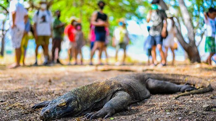 Penambahan Kuota Wisatawan di Taman Nasional