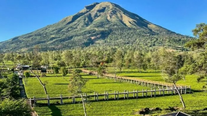 Destinasi Wisata yang Cocok untuk Honeymoon