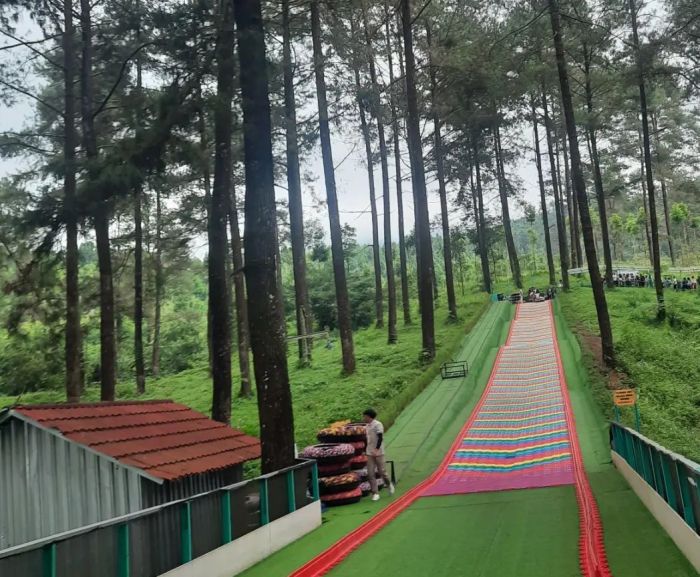 Cerita Seru Menginap di Hotel Tengah Hutan