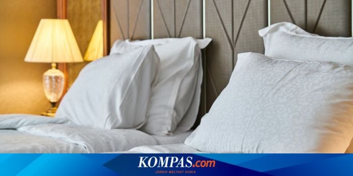 Apa Bedanya Hotel, Hostel, dan Guesthouse?