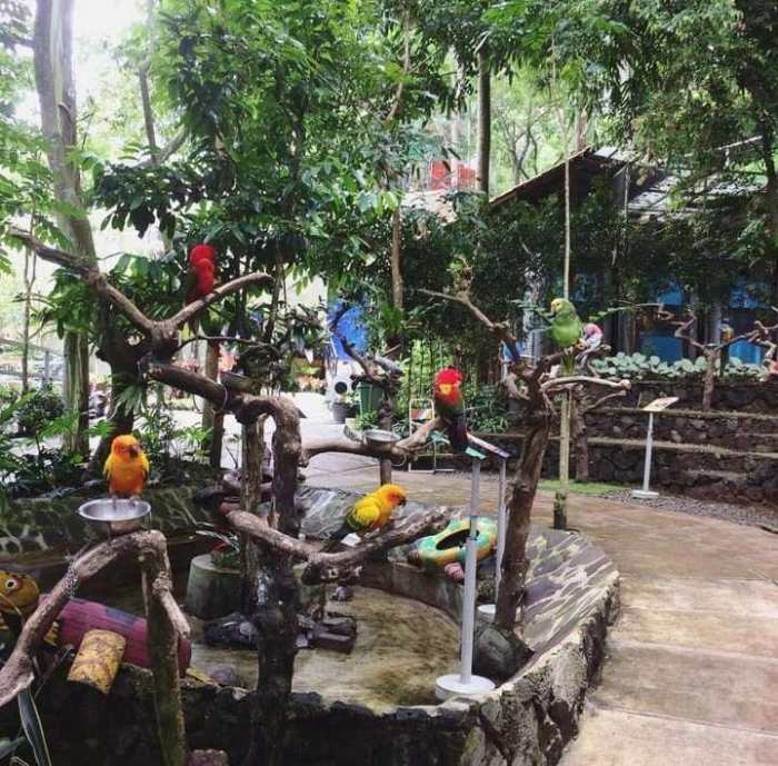 Tempat Wisata yang Cocok untuk Healing