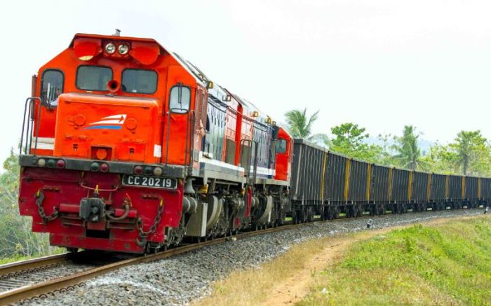 Pengiriman Barang Cepat via Kereta dan Pesawat