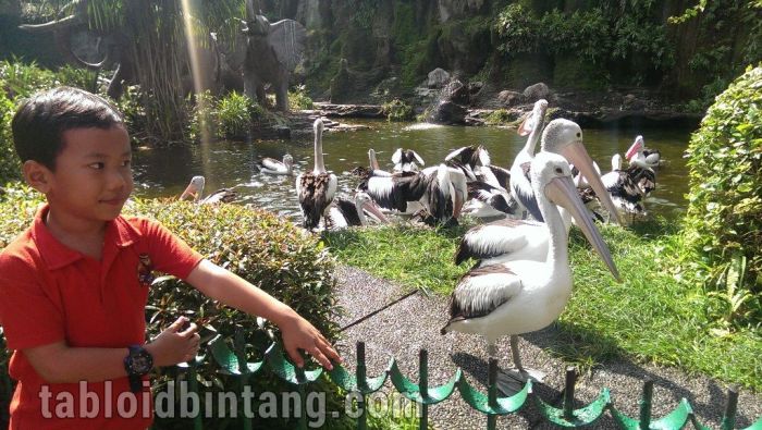 Destinasi Wisata Lama Kembali Dibuka untuk Umum