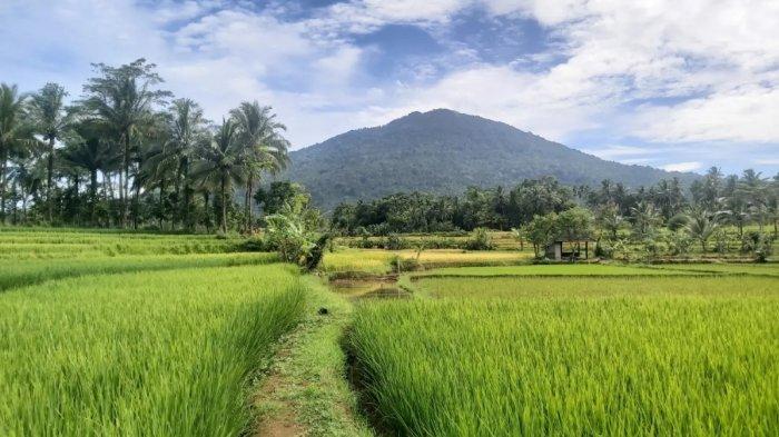 Perluasan Area Wisata Pegunungan yang Viral