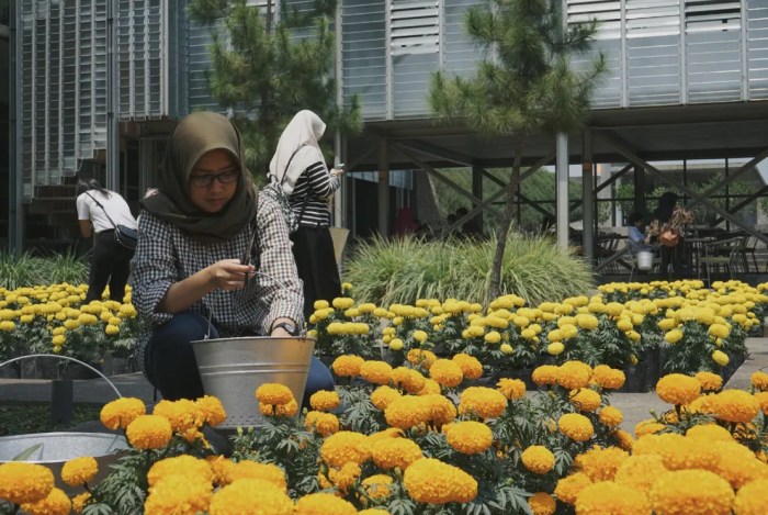Tempat Wisata yang Lagi Ramai di Media Sosial