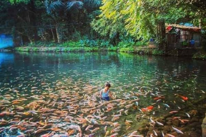 5 Rekomendasi Wisata di Salatiga, Pemandangan Indah Cocok untuk Healing ...