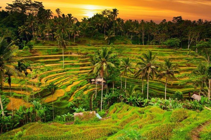 5 Destinasi Romantis di Bali, Cocok Pergi dengan Pasangan | Tagar Tempat Wisata Romantis di Bali dan Lombok