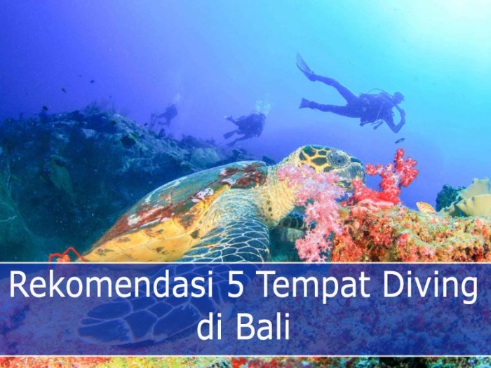 Tempat Diving Terbaik dengan Keanekaragaman Hayati